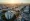 Why Property Owners in Daly City Need an Apartment Management Company